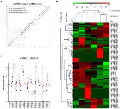 Analyzing small RNA sequences from canine stem cell-derived extracellular vesicles primed with TNF-α and IFN-γ and exploring their potential in lung repair